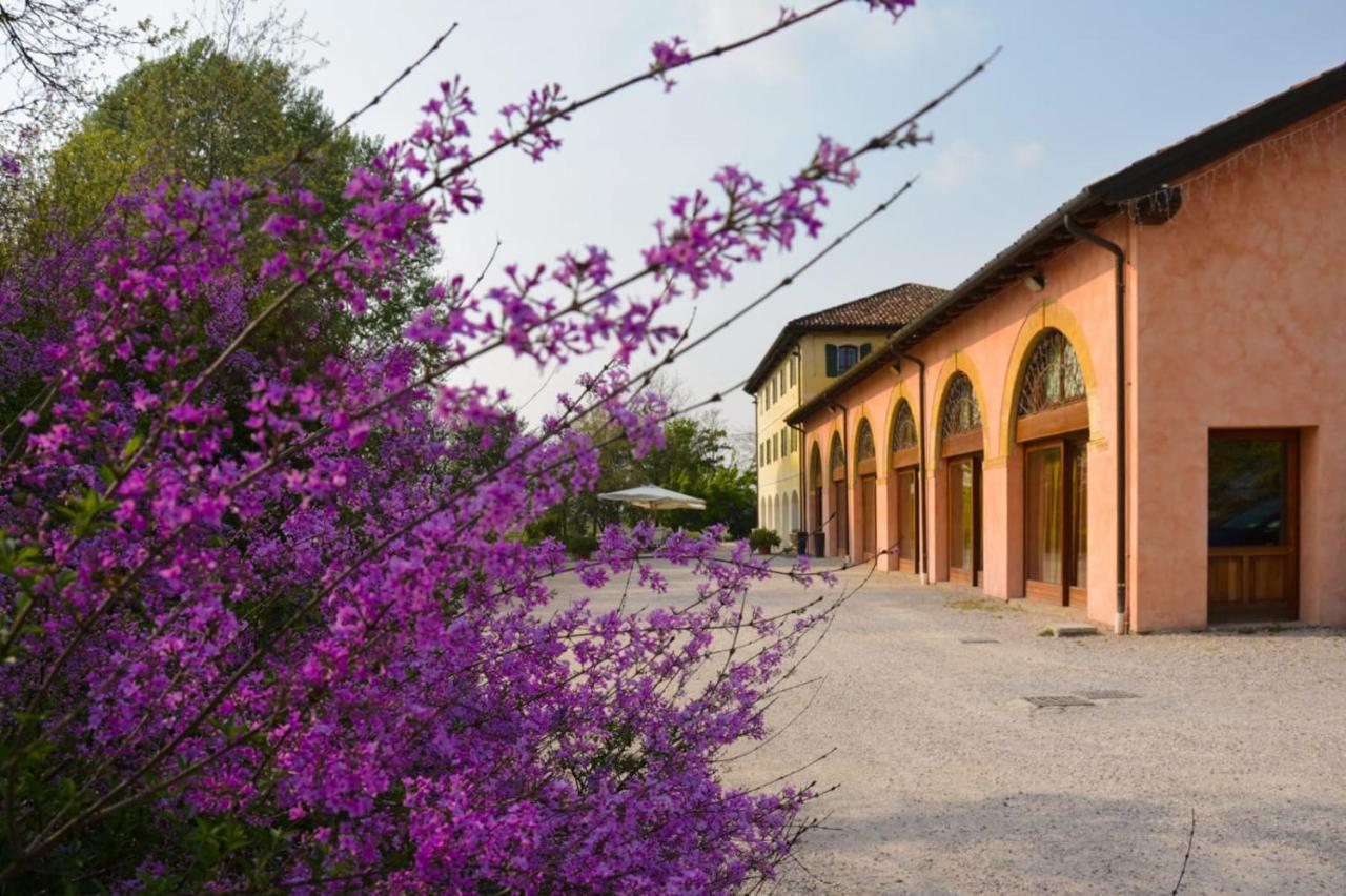 Agriturismo Rechsteiner Ponte di Piave Zewnętrze zdjęcie