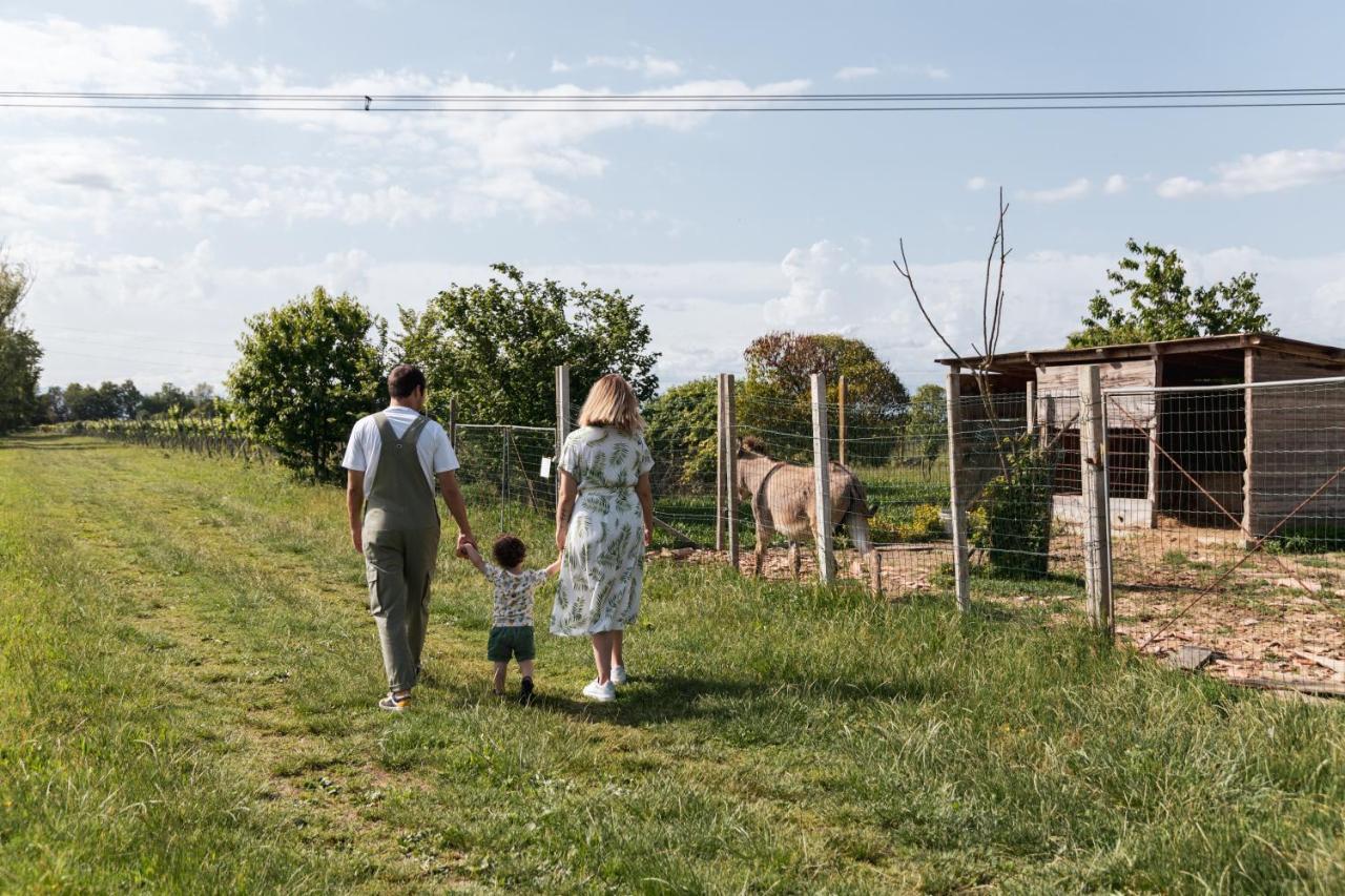 Agriturismo Rechsteiner Ponte di Piave Zewnętrze zdjęcie